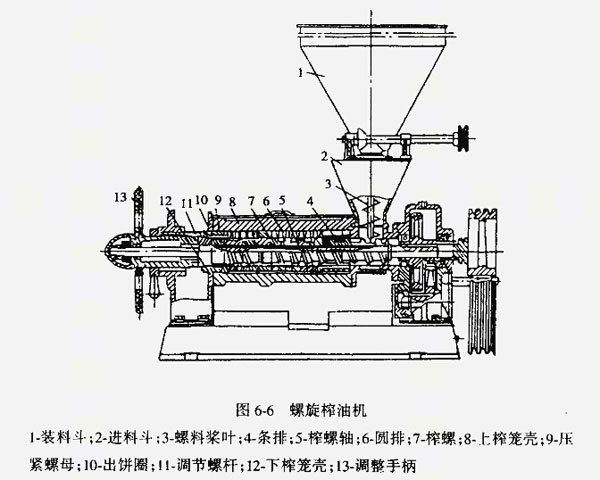 雙象榨油機講解：如何維護和保養(yǎng)榨油機？